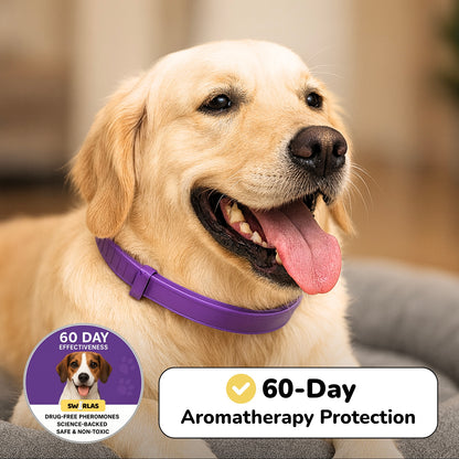 Swirlas Dog Calming Collar [FREE TODAY]