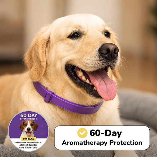 Swirlas Dog Calming Collar [FREE TODAY]