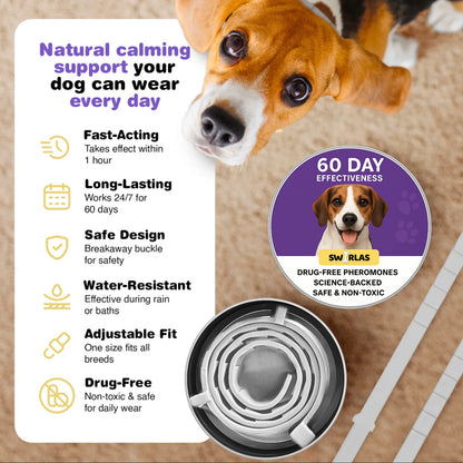 Swirlas Dog Calming Collar [FREE TODAY]