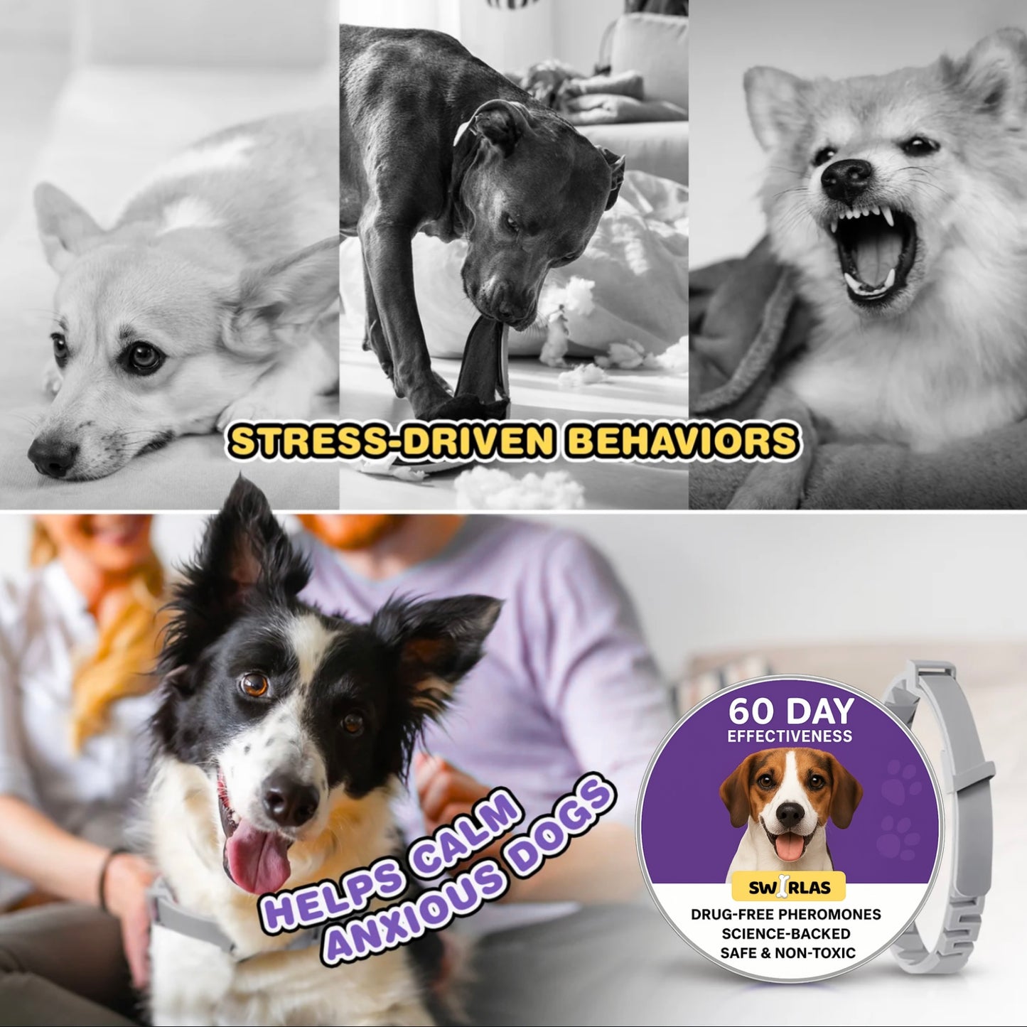 Swirlas Dog Calming Collar [FREE TODAY]