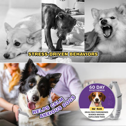 Swirlas Dog Calming Collar [FREE TODAY]