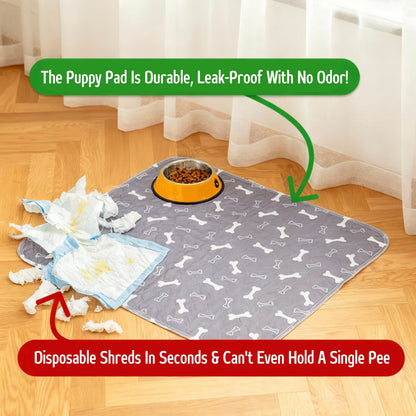 PupPads - The Last Pee Pad You'll Get