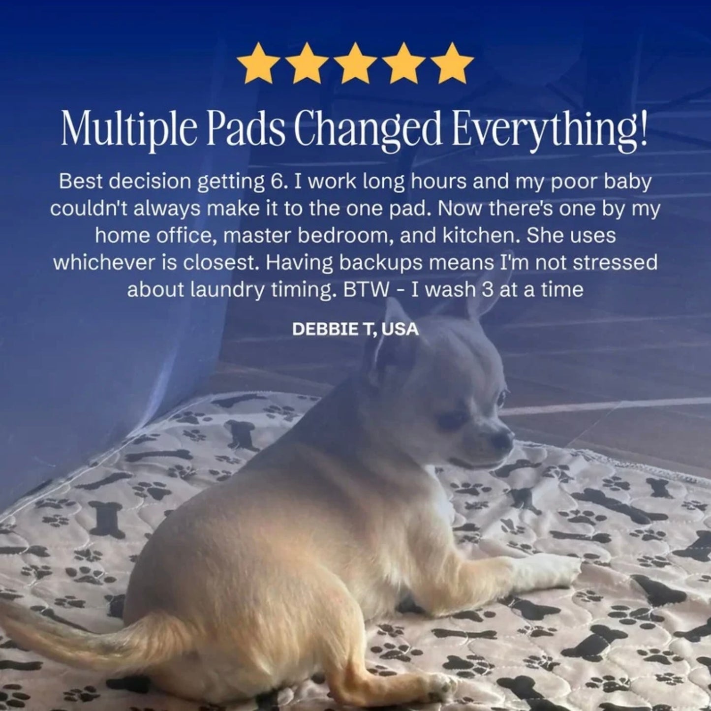 PupPads - The Last Pee Pad You'll Get