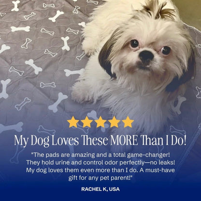 PupPads - The Last Pee Pad You'll Get